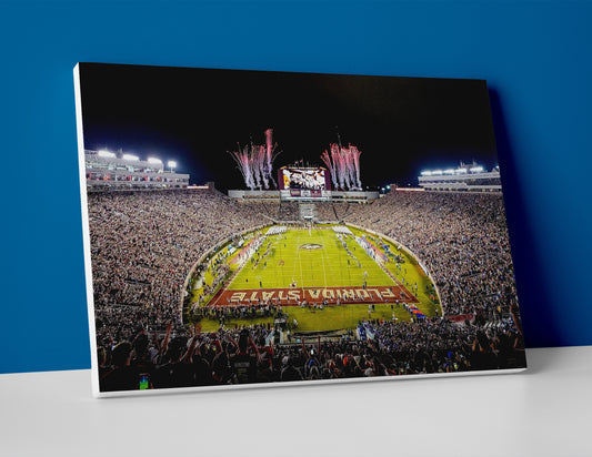 Florida State Football Stadium Poster canvas wall art fsu print seminoles decor