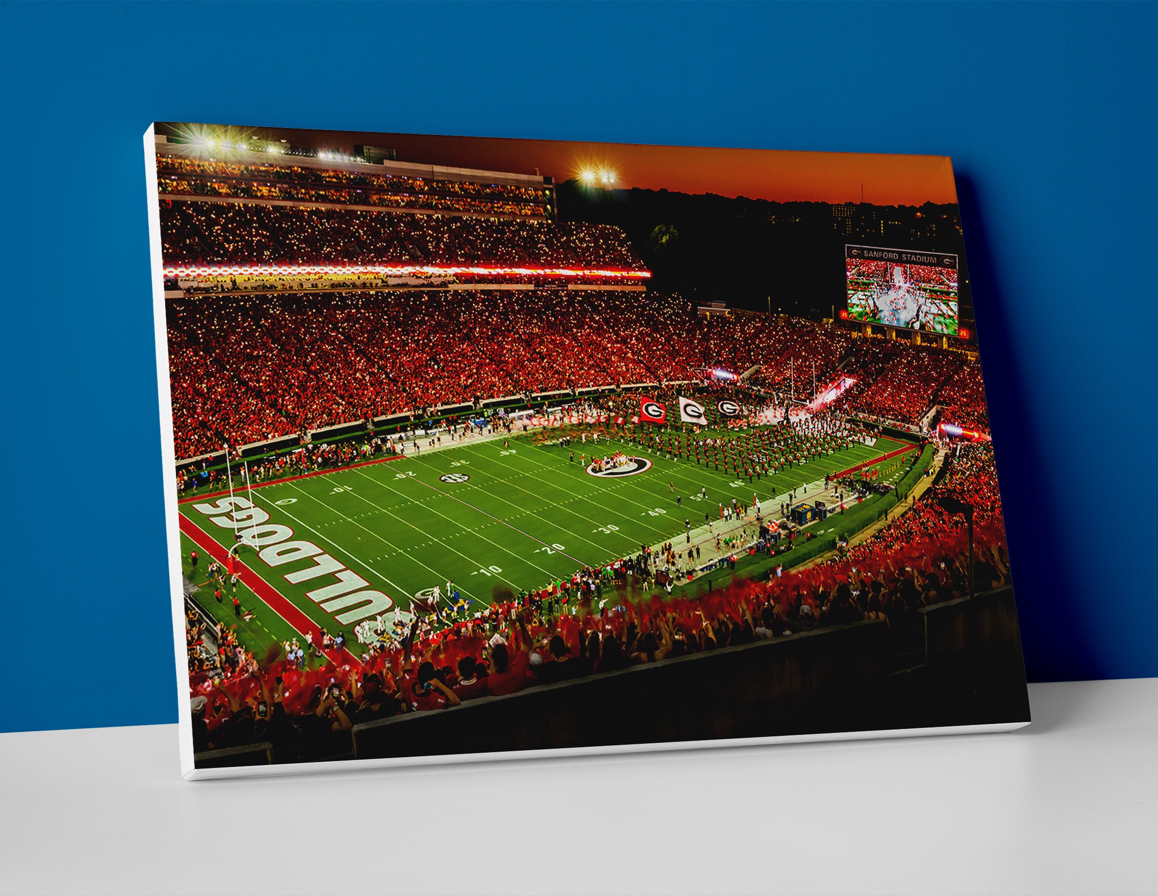 Georgia Bulldogs football stadium poster canvas wall art