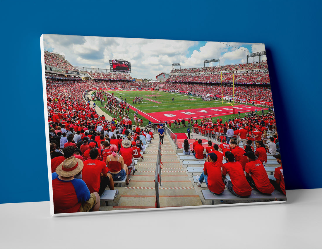 Houston Cougars football stadium poster canvas wall art print decor