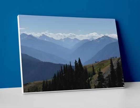 Olympic National Park Poster canvas wall art hurricane ridge decor