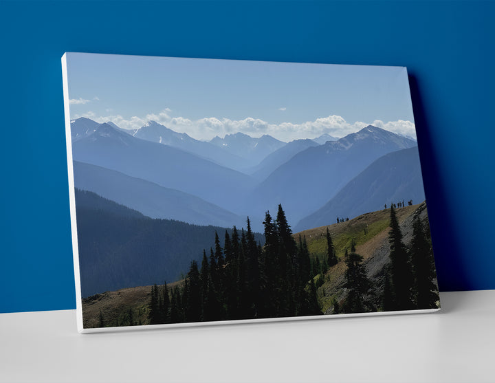 Olympic National Park Poster canvas wall art hurricane ridge decor