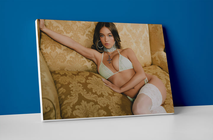 Sydney Sweeney Sexy Poster wall art print