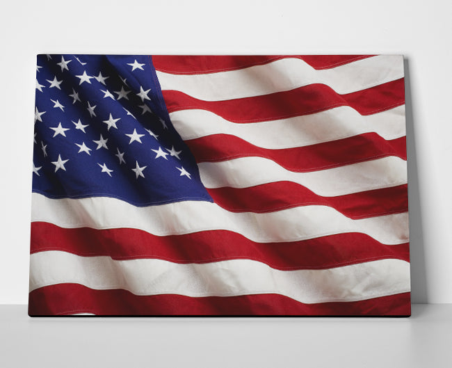 American Flag Poster or Wrapped Canvas - Player Season