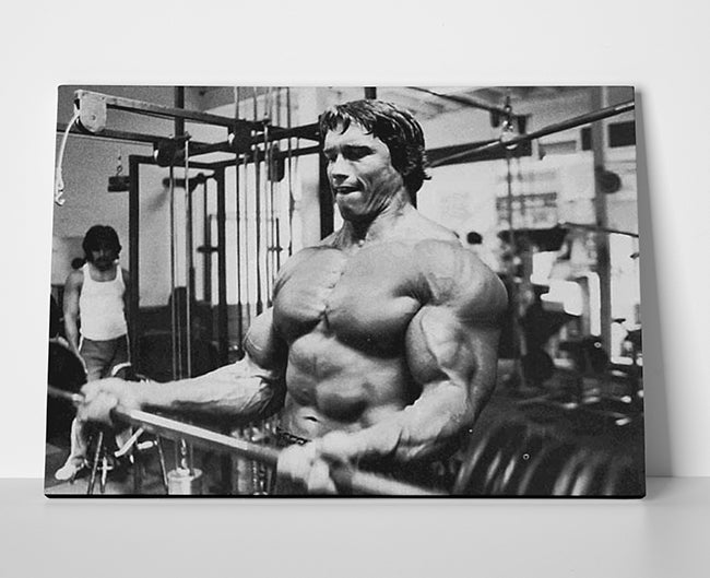 Arnold Schwarzenegger Poster or Wrapped Canvas - Player Season