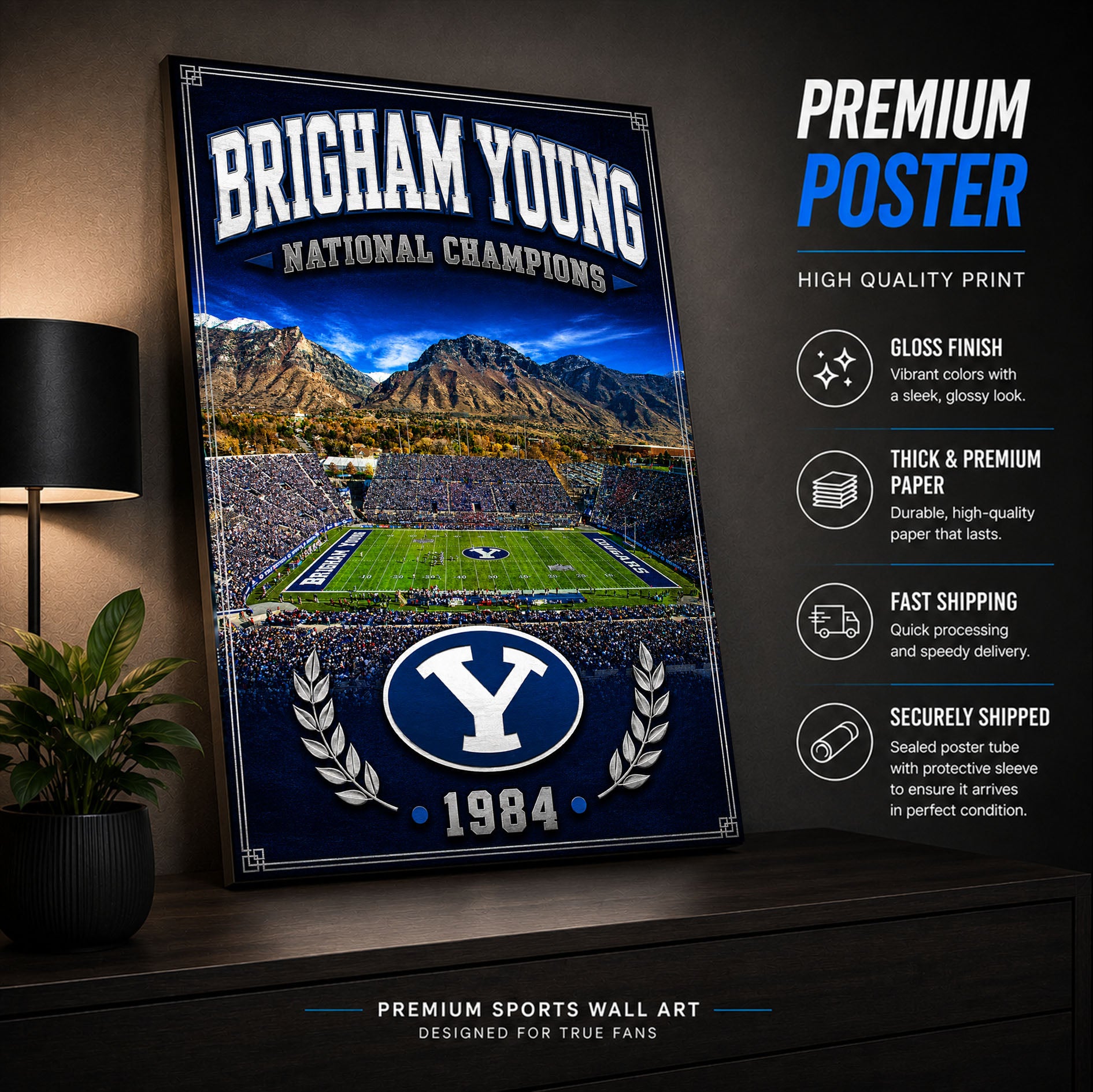 Brigham Young Football Stadium Fan Poster or Canvas Wall Art