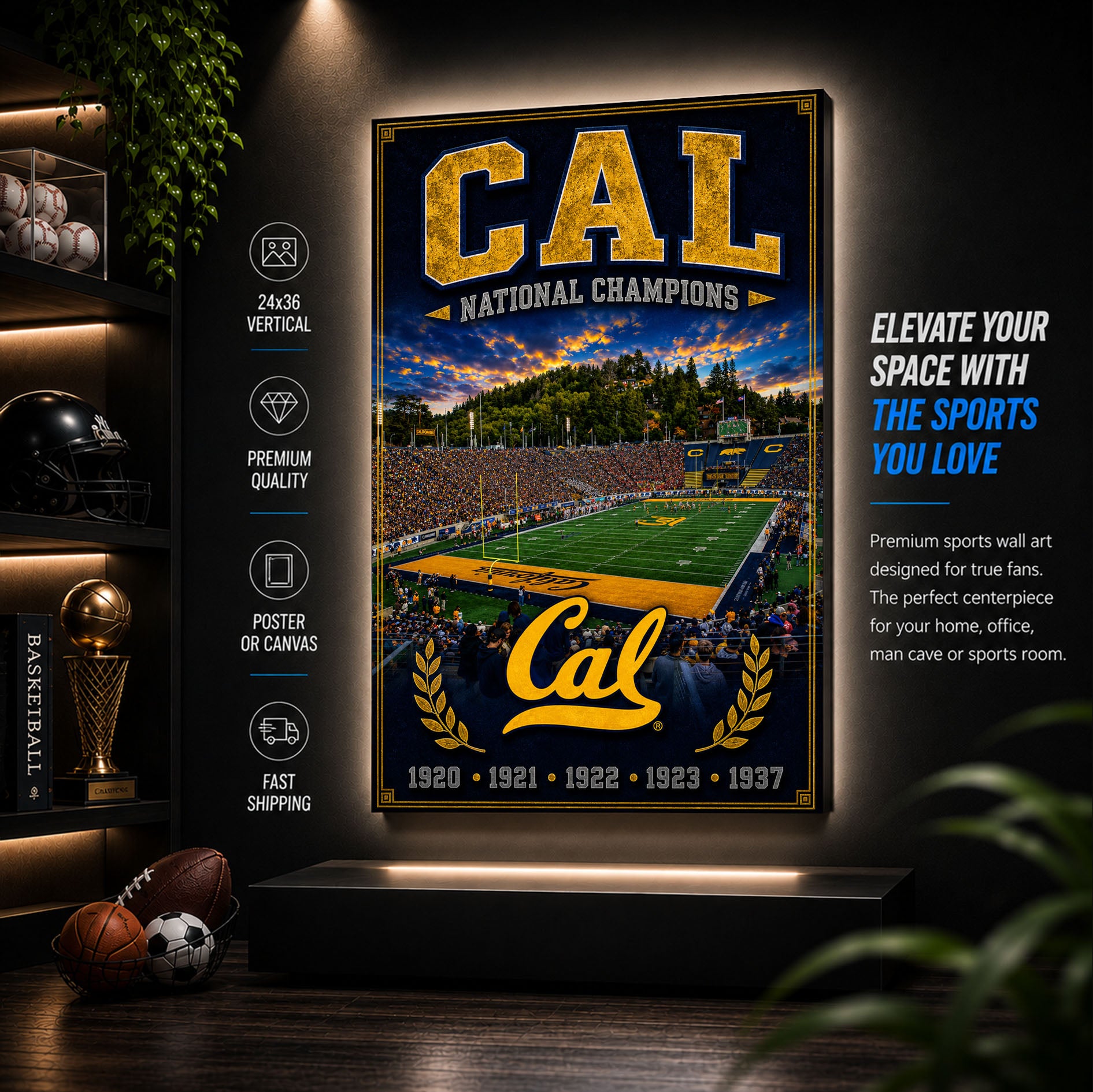 Cal Football Stadium Fan Poster or Canvas Wall Art