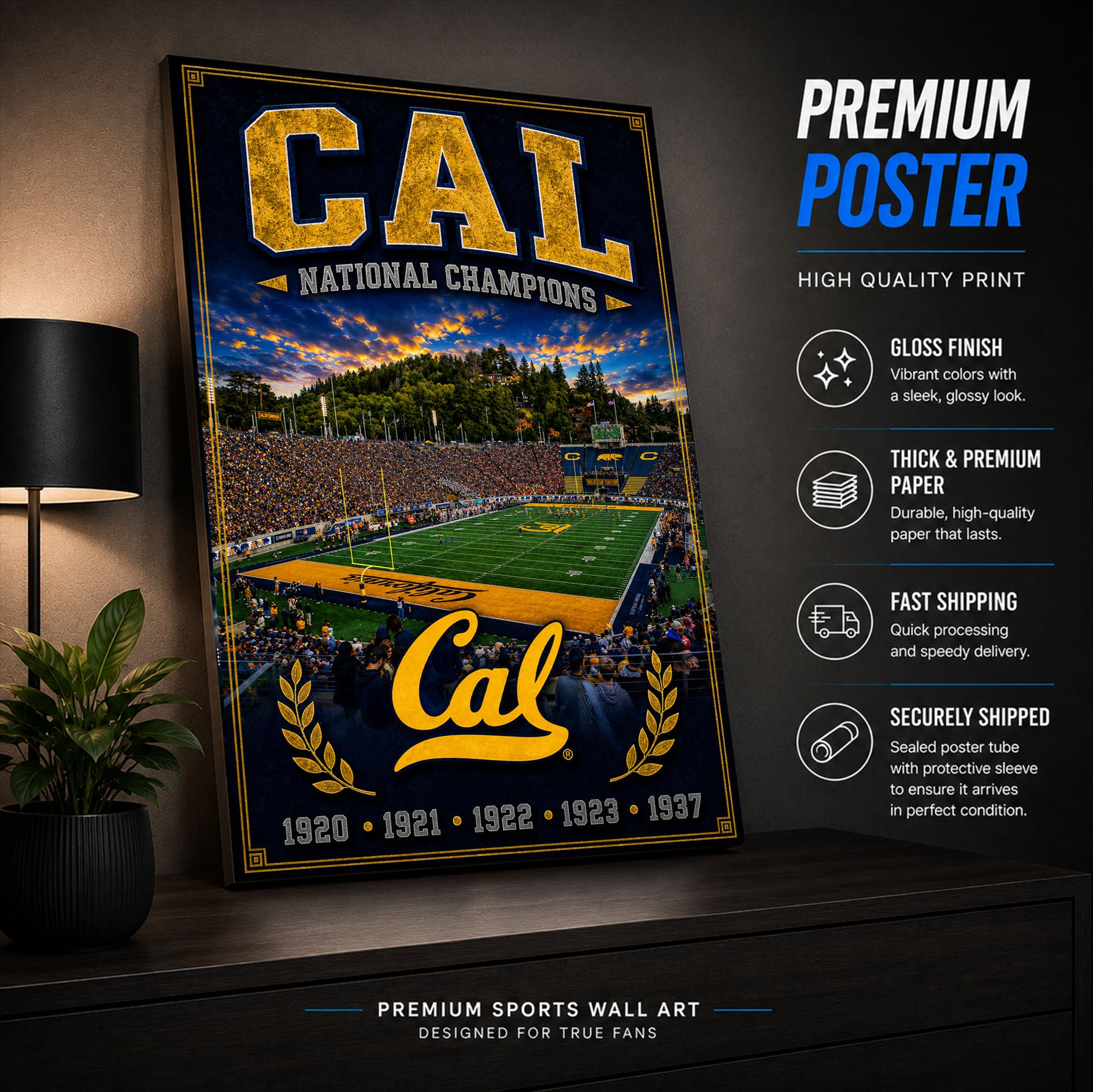 Cal Football Stadium Fan Poster or Canvas Wall Art