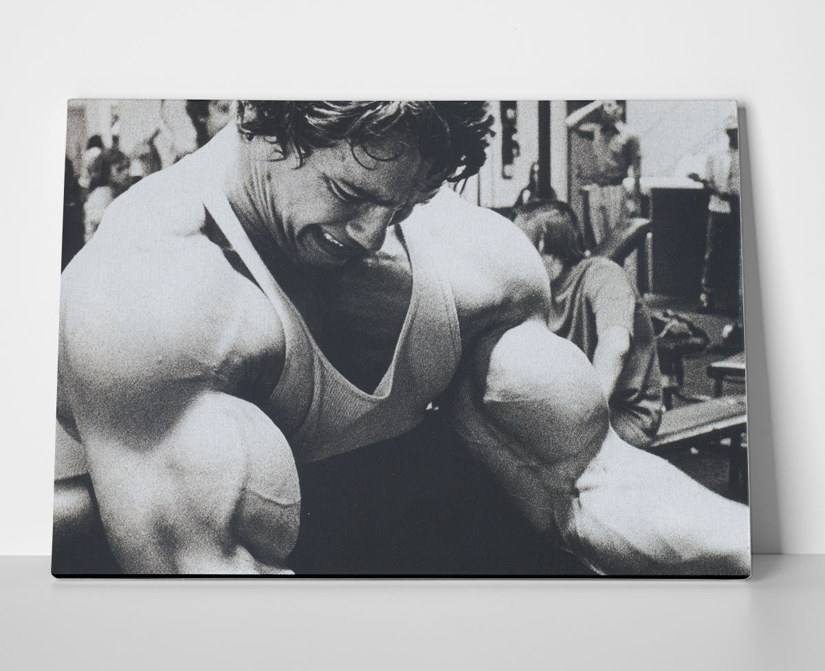 Arnold Schwarzenegger Lifting Poster or Wrapped Canvas