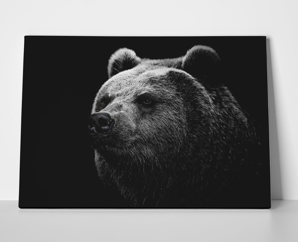 Grizzly Bear Poster