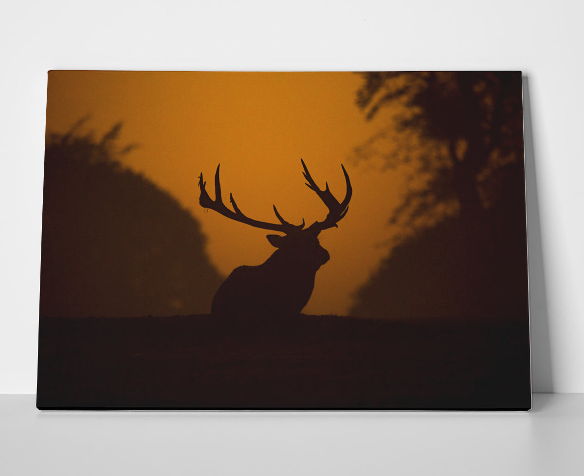Moose Poster canvas