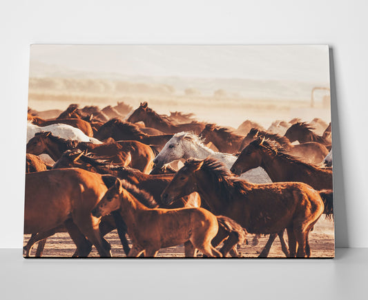 Wild Horses Poster canvas