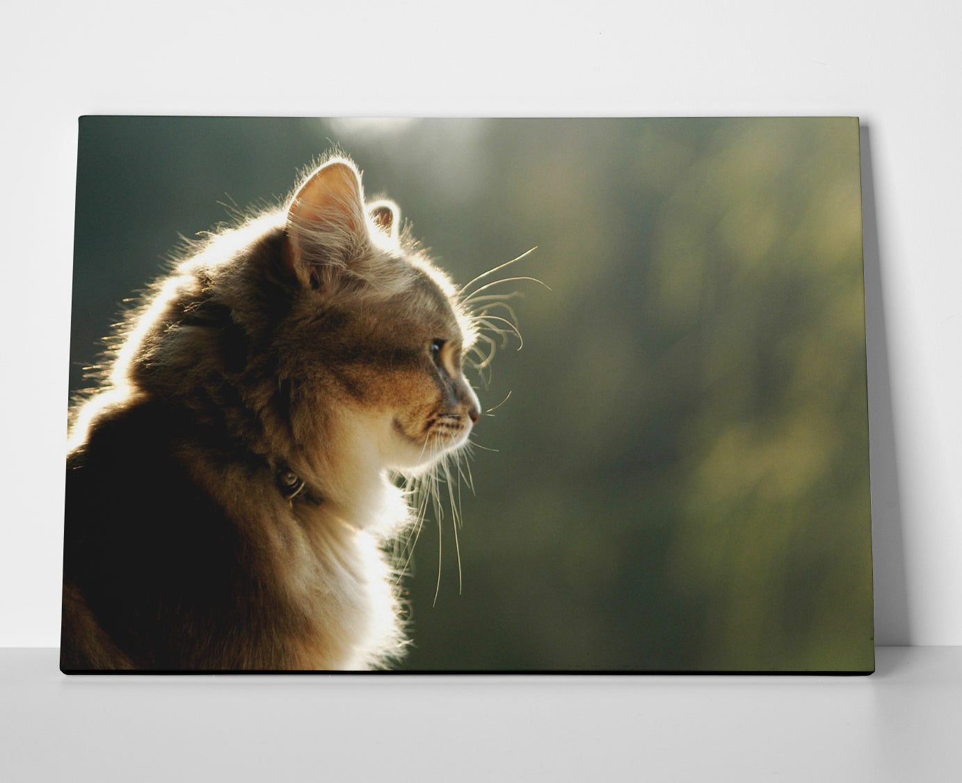Cat Poster or Wrapped Canvas