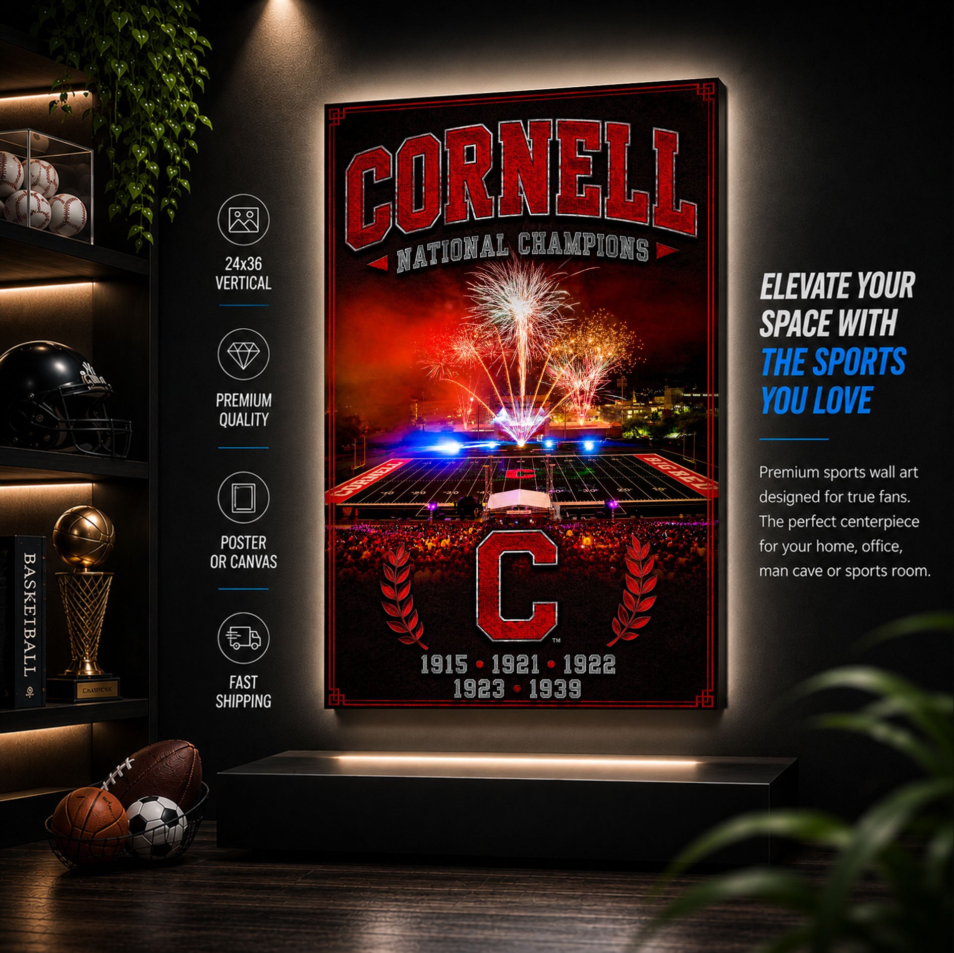 Cornell Football Stadium Fan Poster or Canvas Wall Art