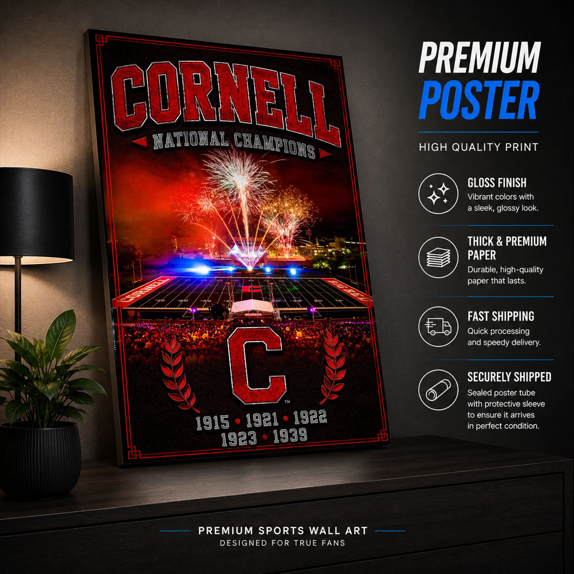 Cornell Football Stadium Fan Poster or Canvas Wall Art