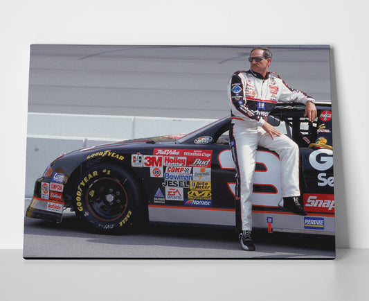 Dale Earnhardt Poster