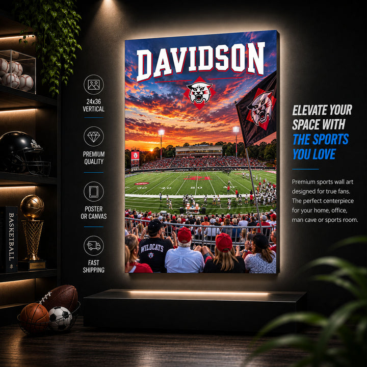 Davidson Football Stadium Poster or Canvas Wall Art