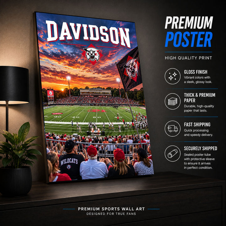 Davidson Football Stadium Poster or Canvas Wall Art