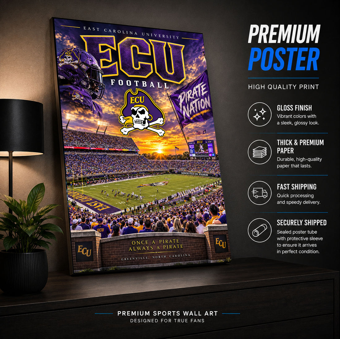 ECU Pirates Football Stadium Poster or Canvas Wall Art