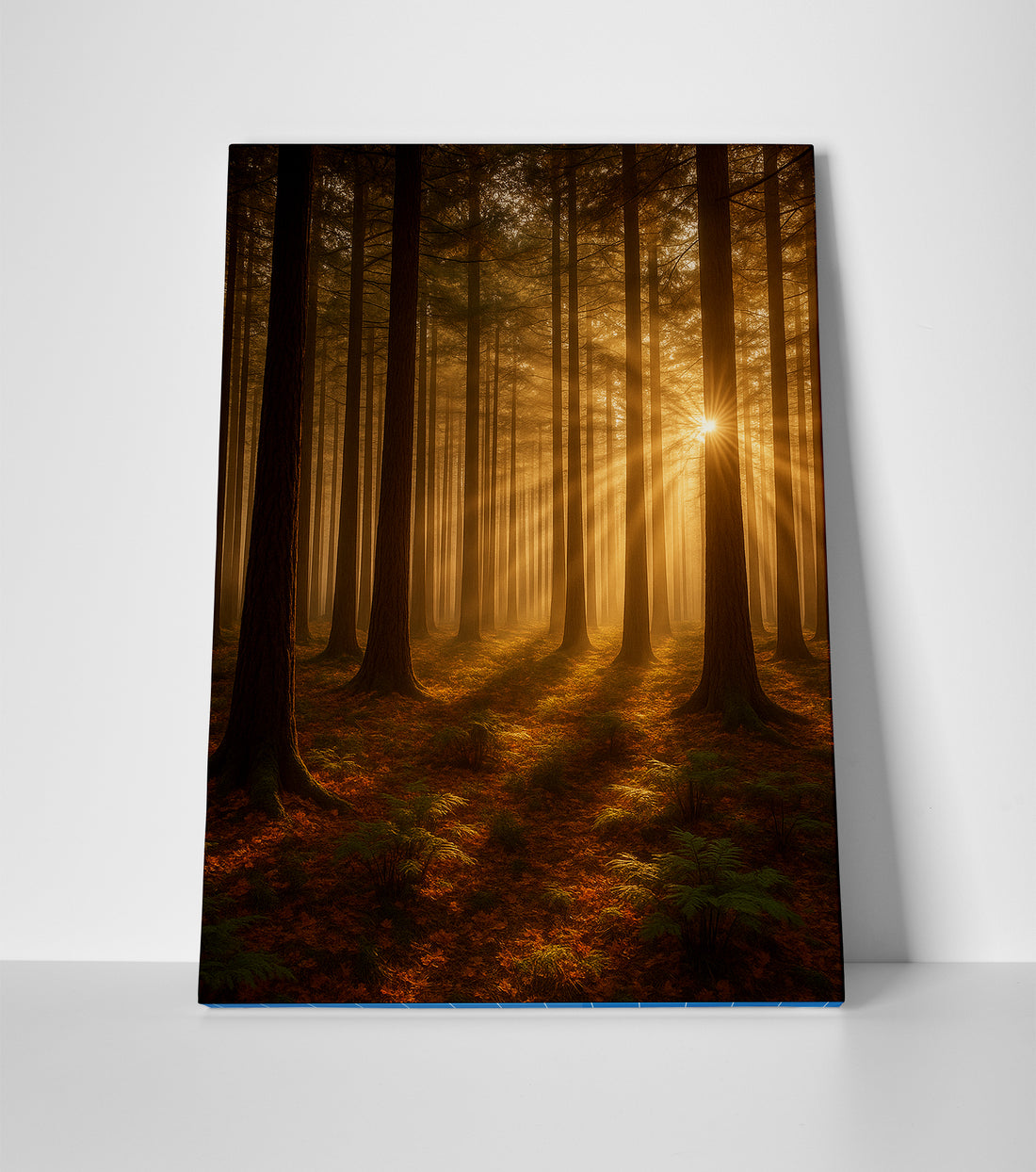 forest trees poster canvas