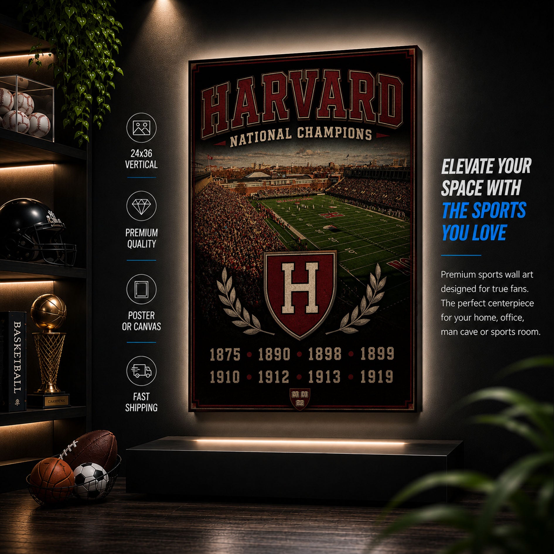 Harvard Football Stadium Fan Poster or Canvas Wall Art