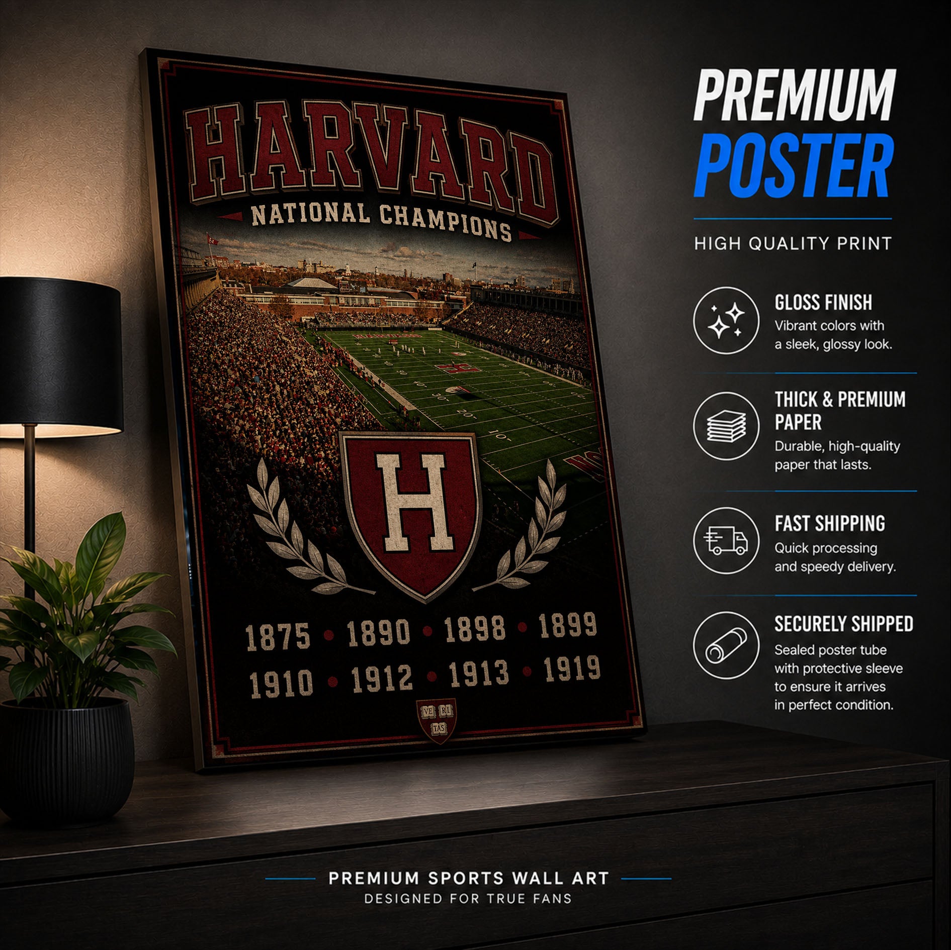 Harvard Football Stadium Fan Poster or Canvas Wall Art