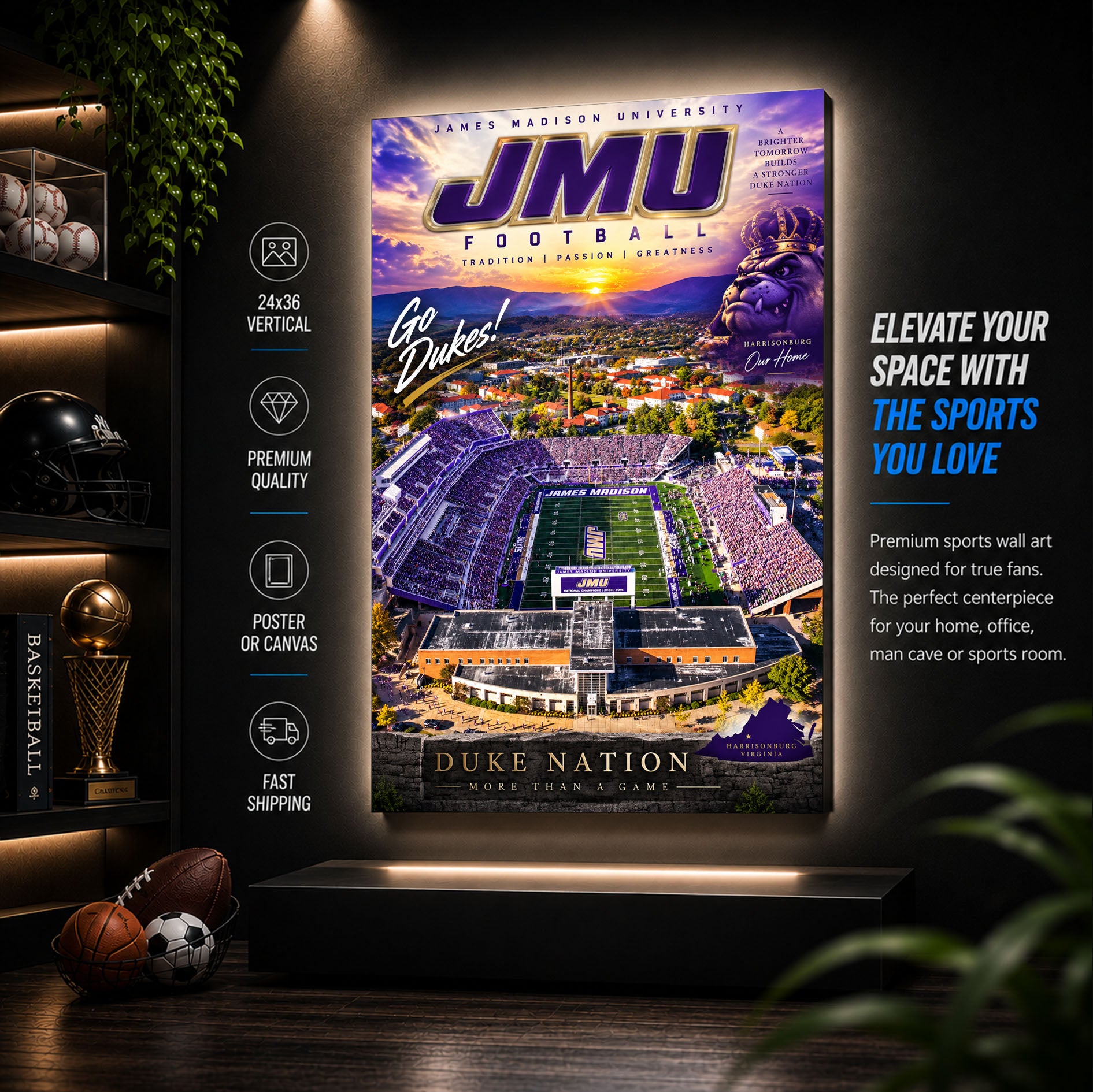 JMU Dukes Football Stadium Poster or Canvas Wall Art