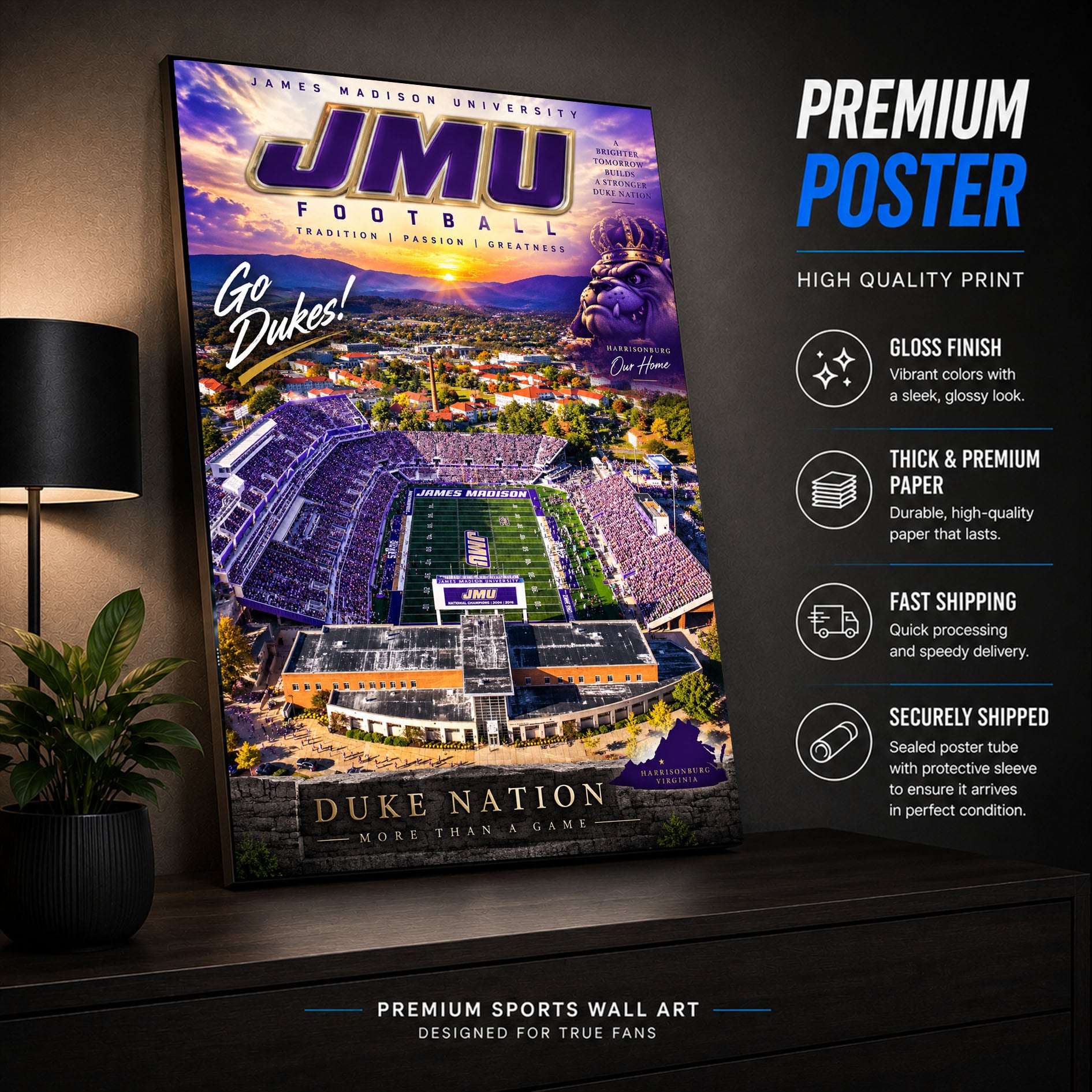 JMU Dukes Football Stadium Poster or Canvas Wall Art
