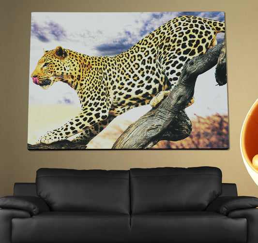 Leopard Poster