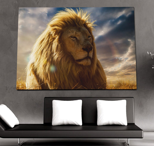 African Lion Poster or Wrapped Canvas