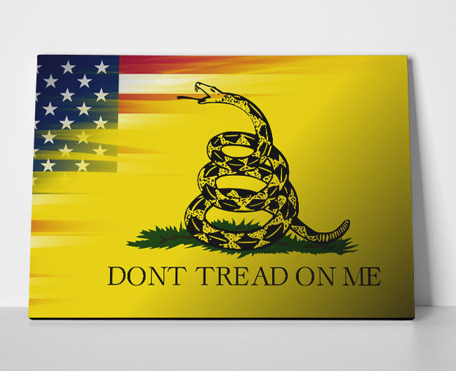 US Marines Poster canvas