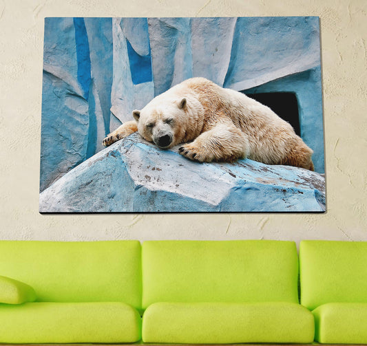 Polar Bear Poster canvas