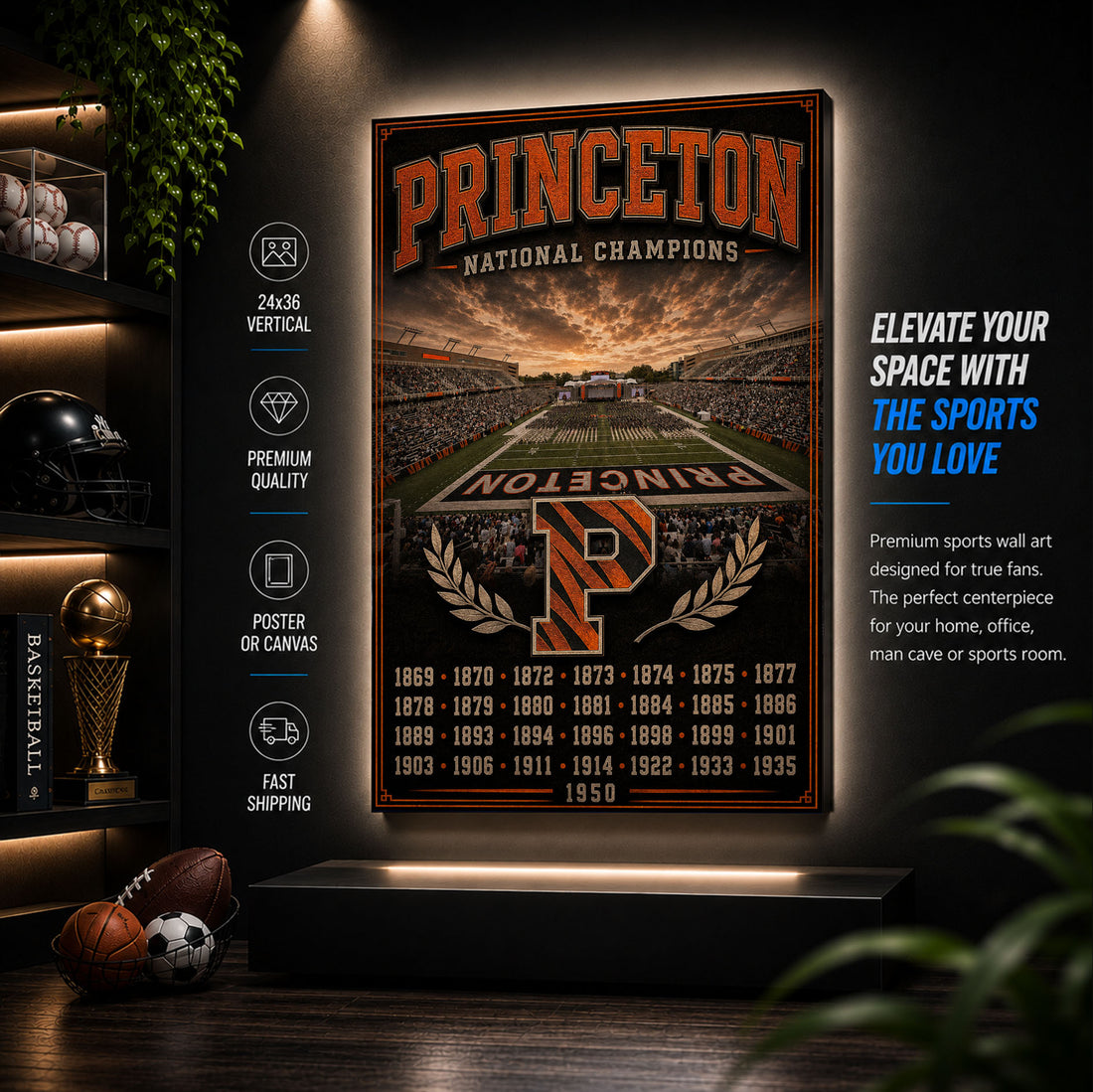 Princeton Football Stadium Fan Poster or Canvas Wall Art