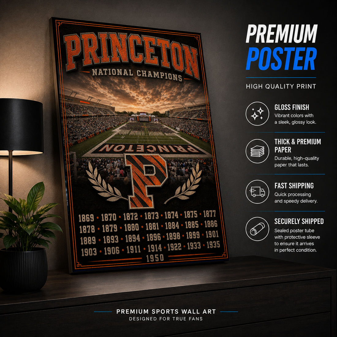 Princeton Football Stadium Fan Poster or Canvas Wall Art