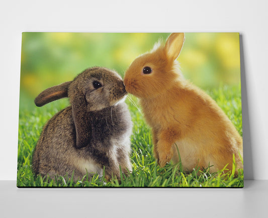 Bunny Rabbits Poster or Wrapped Canvas