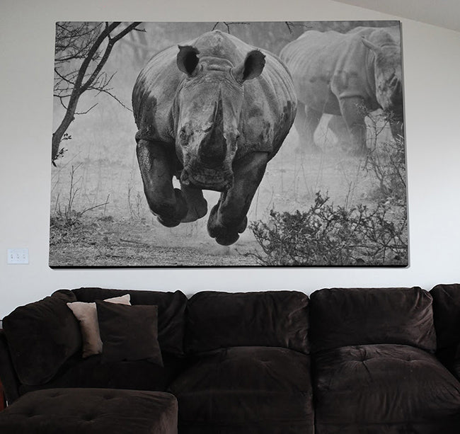 Rhino Poster canvas