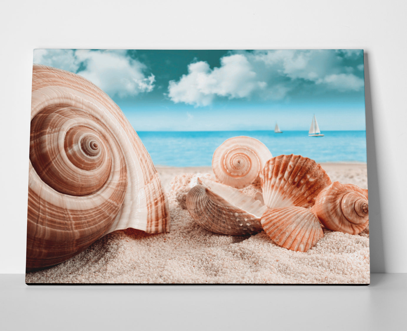 Sea Shells Poster canvas