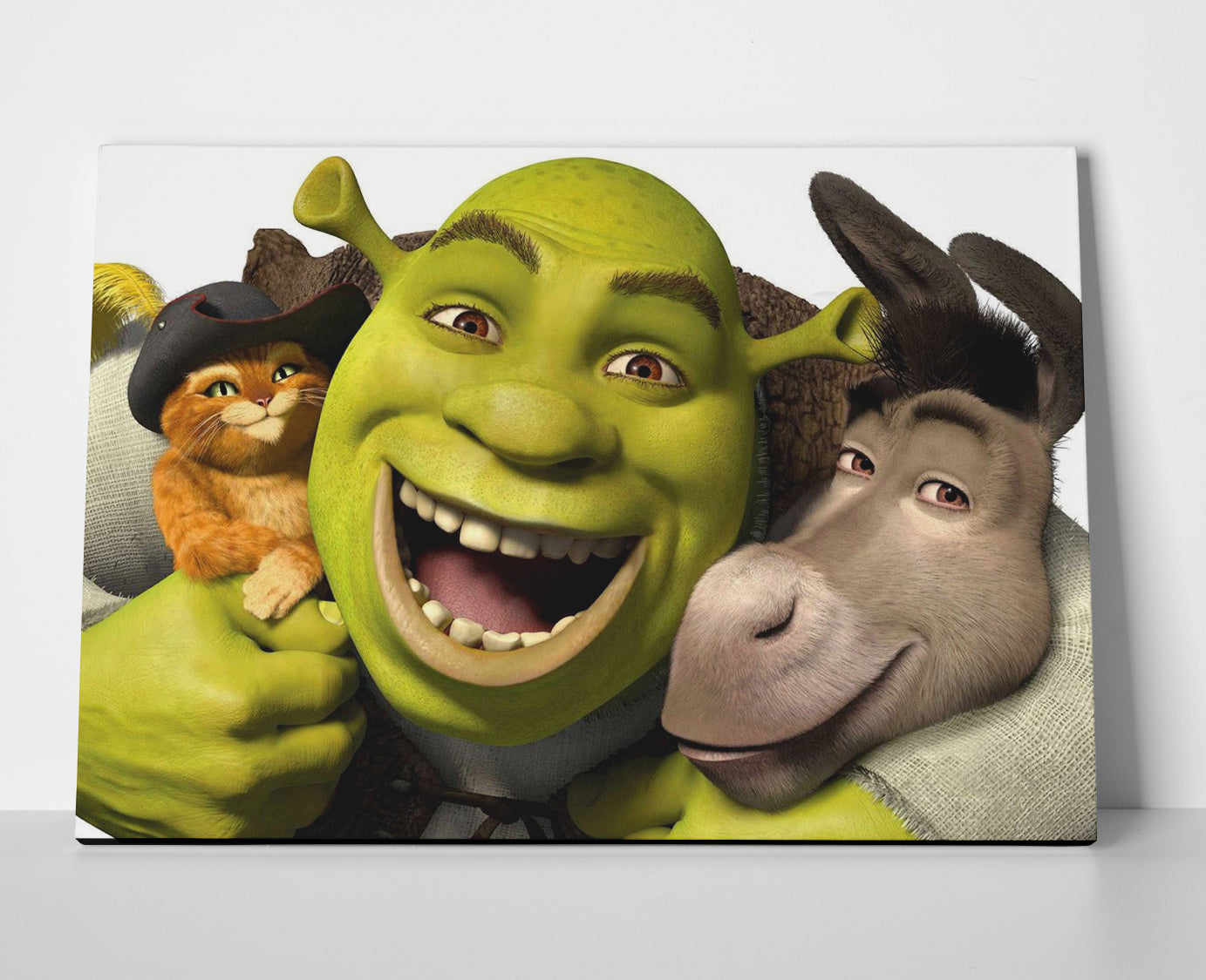 Shrek Movie Poster canvas