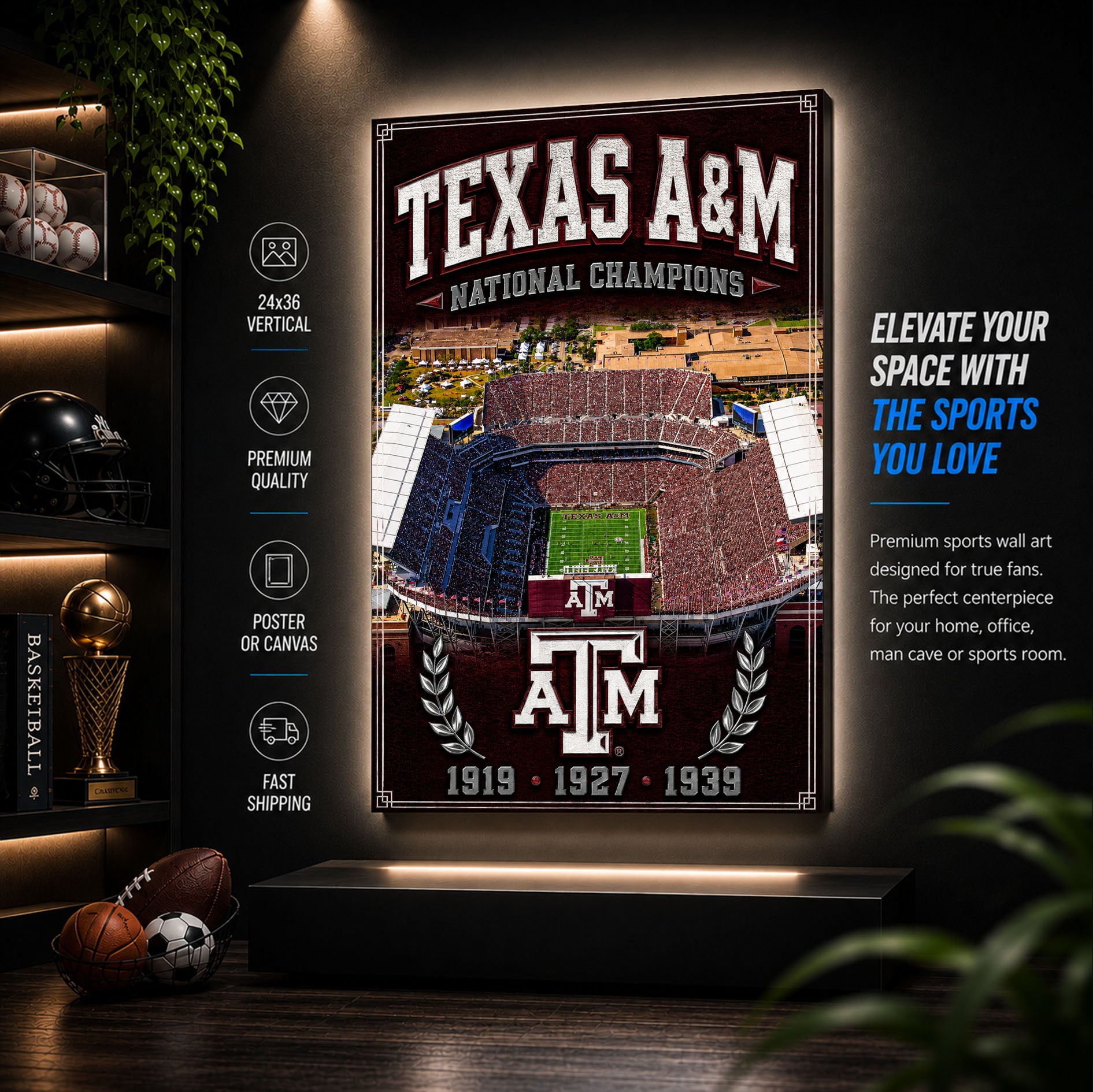 Texas A&M Football Stadium Fan Poster or Canvas Wall Art