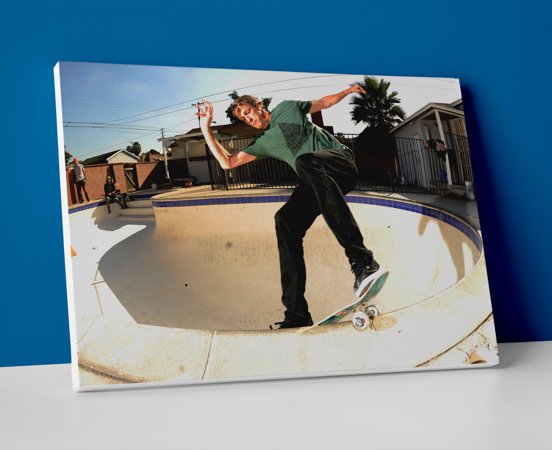 Tony Hawk poster canvas skateboarding wall art