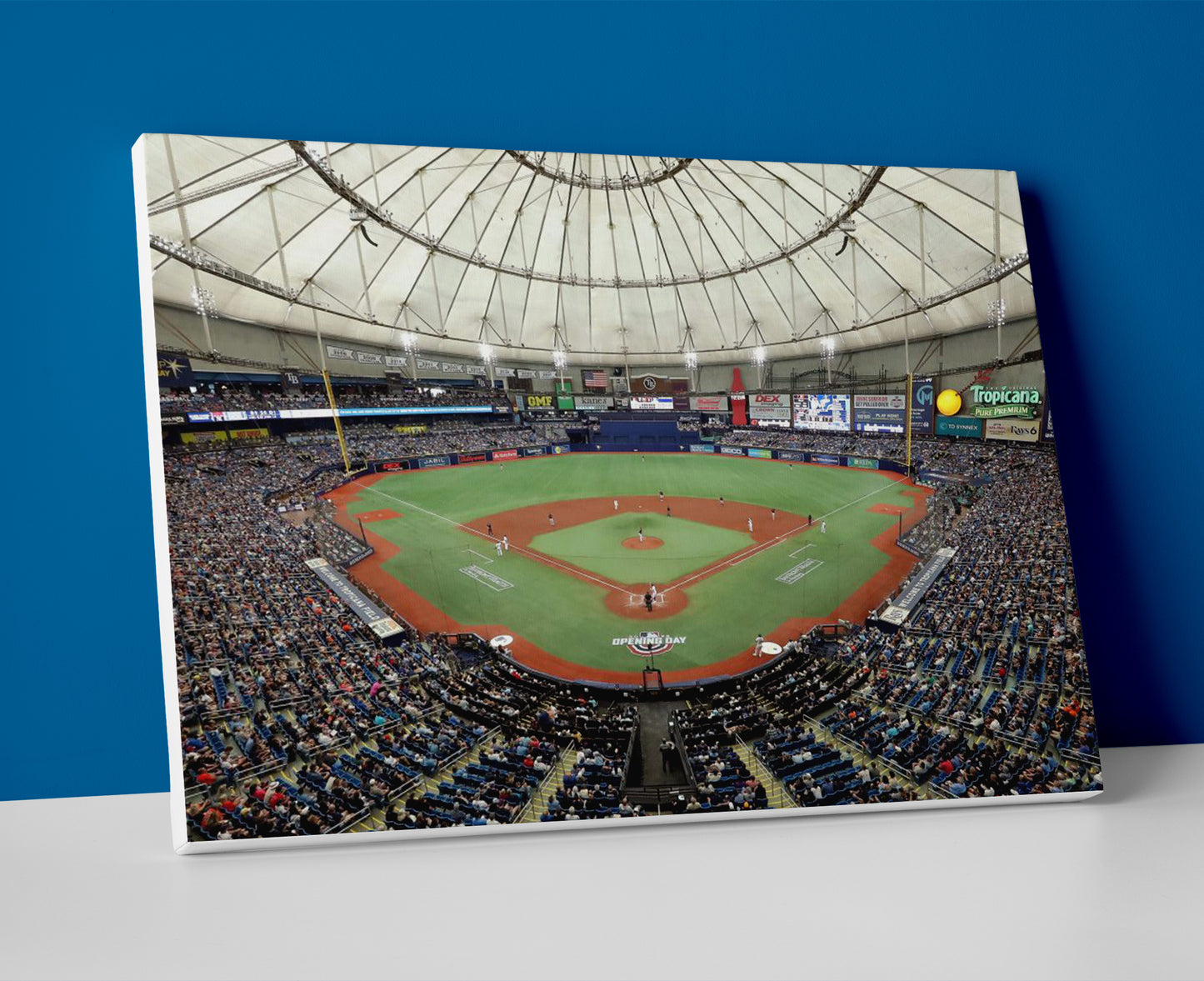 tampa bay rays stadium poster canvas wall art painting artwork baseball