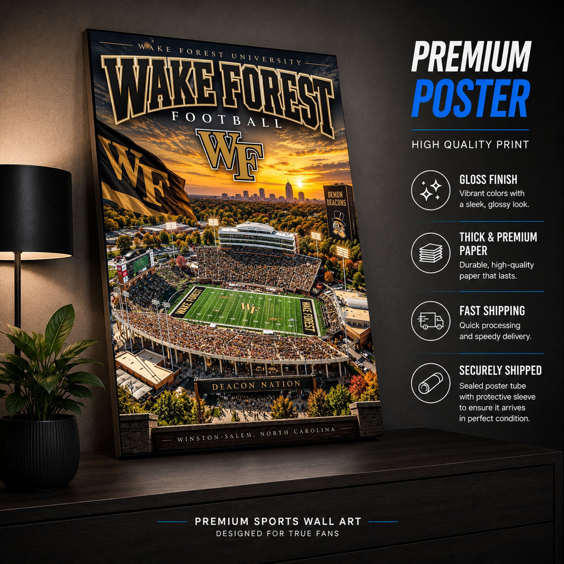 Wake Forest Football Stadium Fan Poster or Canvas Wall Art